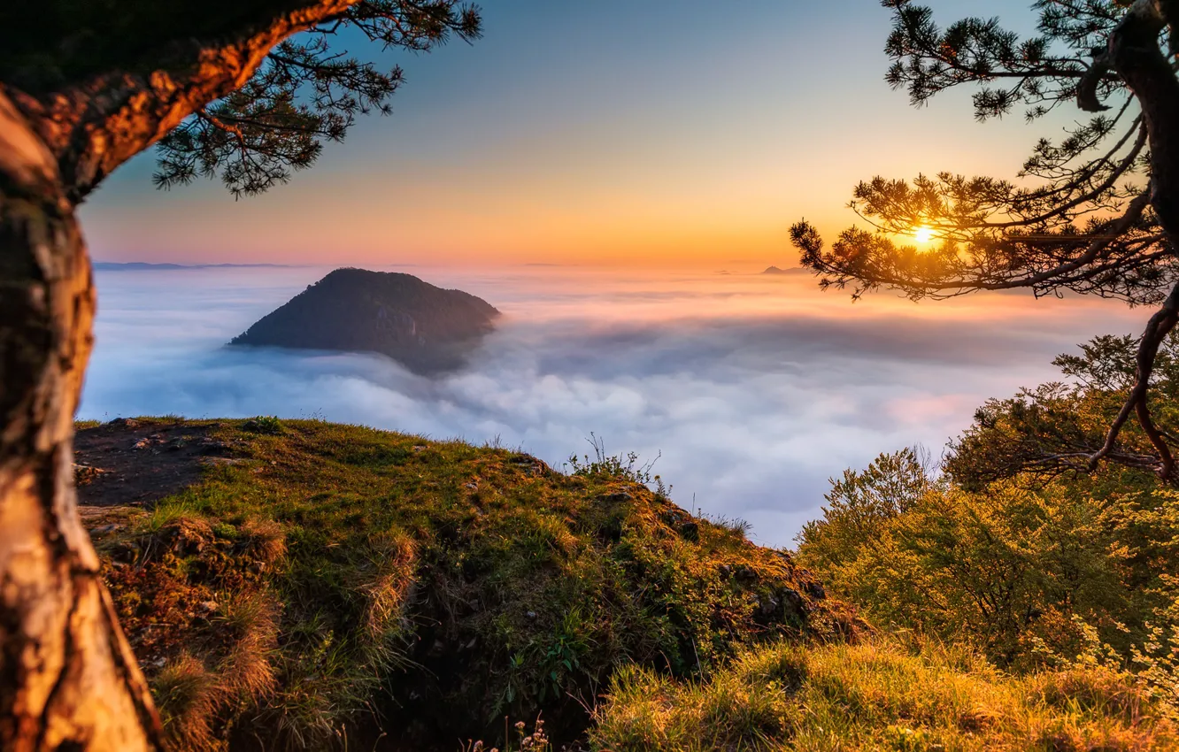 Photo wallpaper landscape, sunset, mountains, nature, fog
