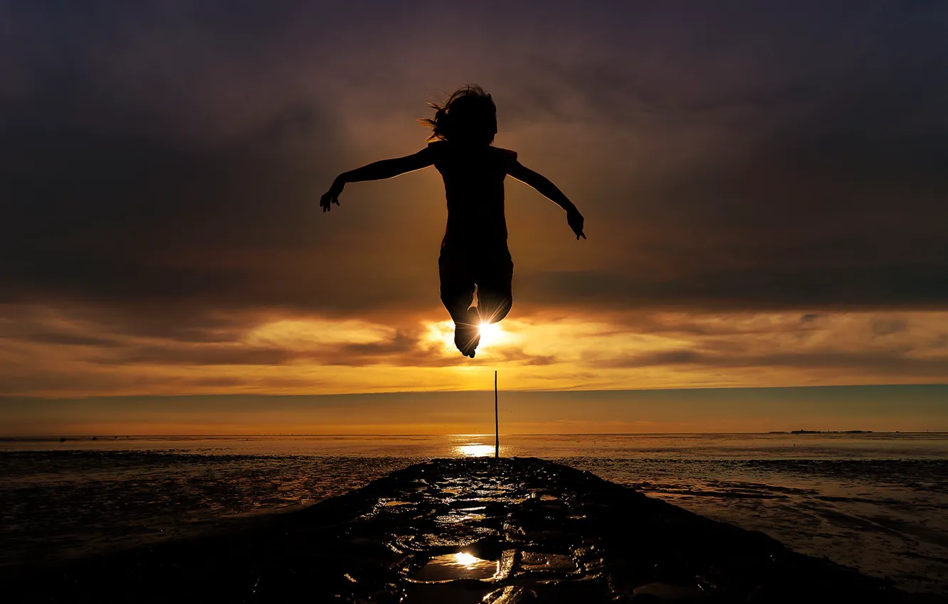 Photo wallpaper sea, flight, the ocean, jump, horizon, silhouette