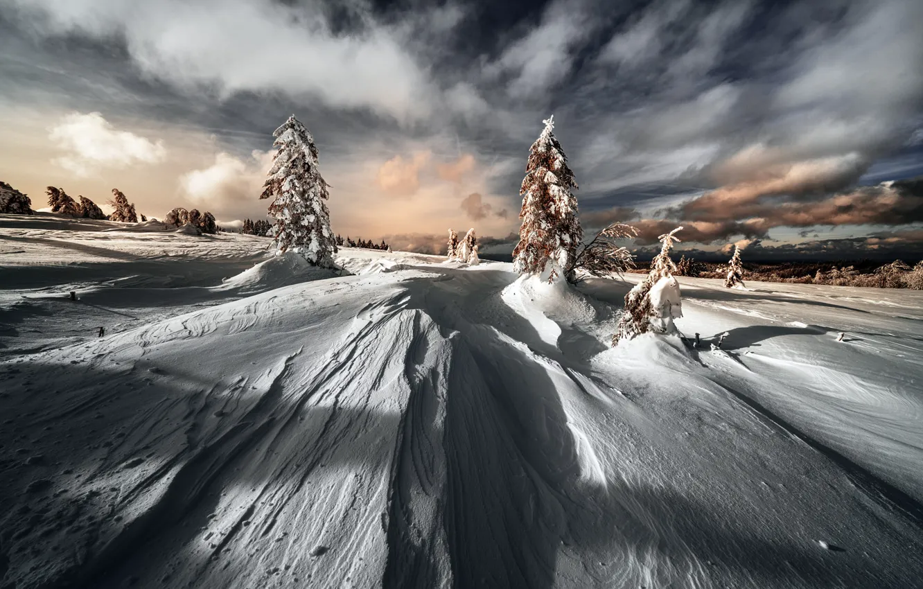 Photo wallpaper winter, frost, forest, the sky, clouds, light, snow, clouds