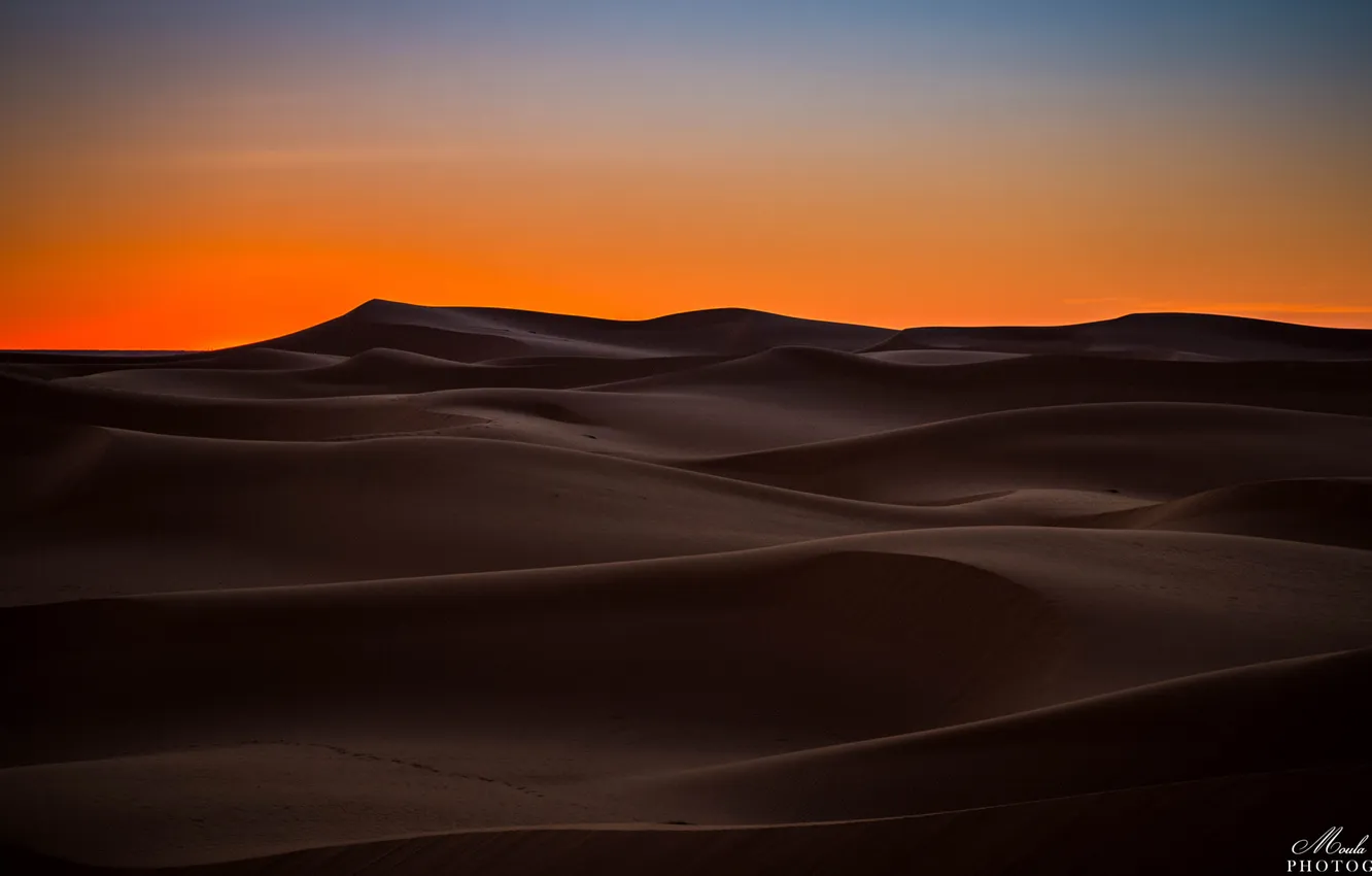 Photo wallpaper sunset, nature, desert, dunes