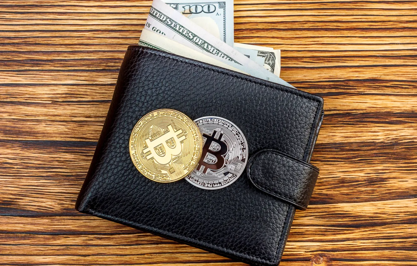 Photo wallpaper dollar, dollar, purse, bitcoin, wallet, bitcoin, btc