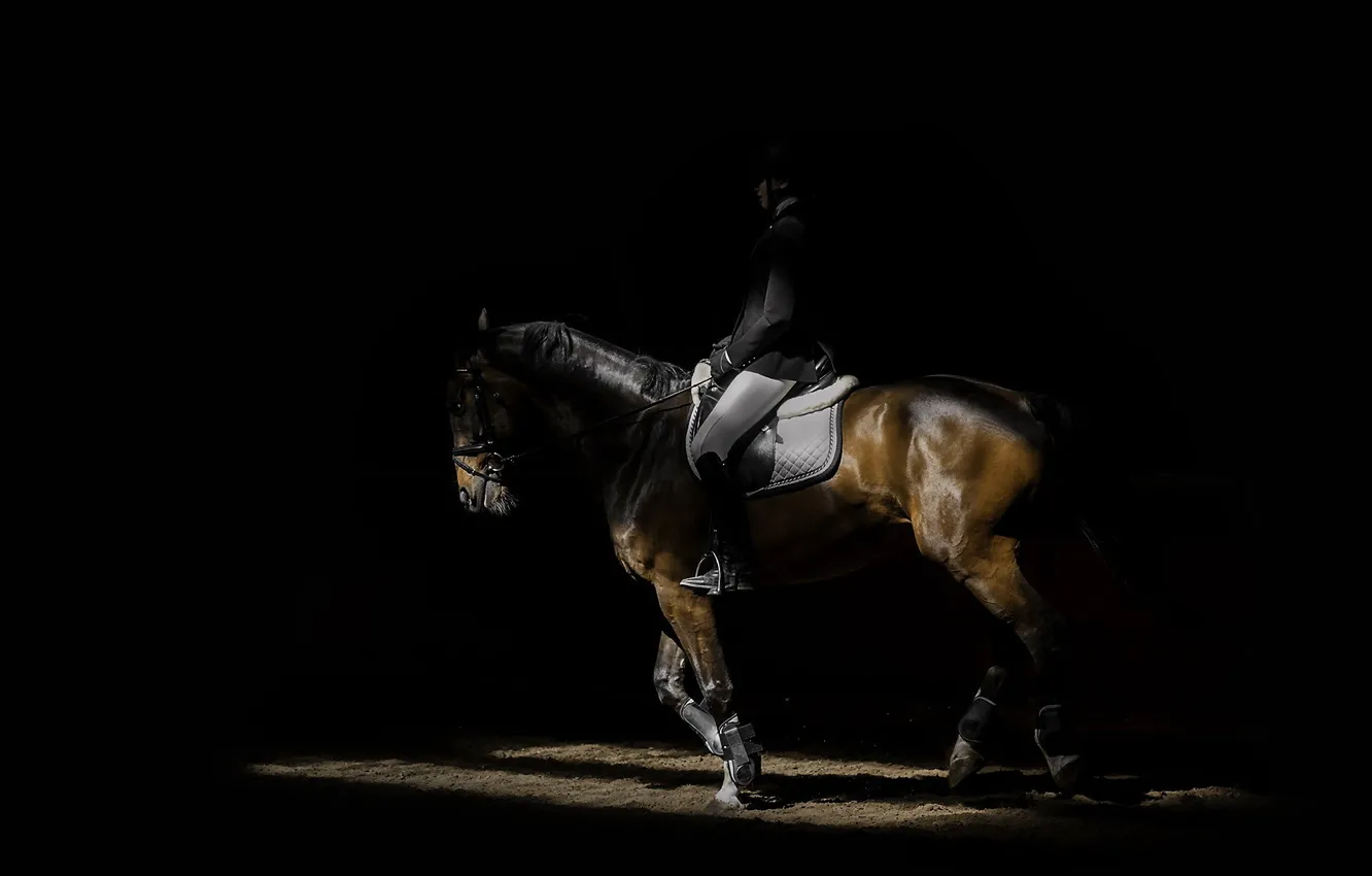 Photo wallpaper horse, sport, people