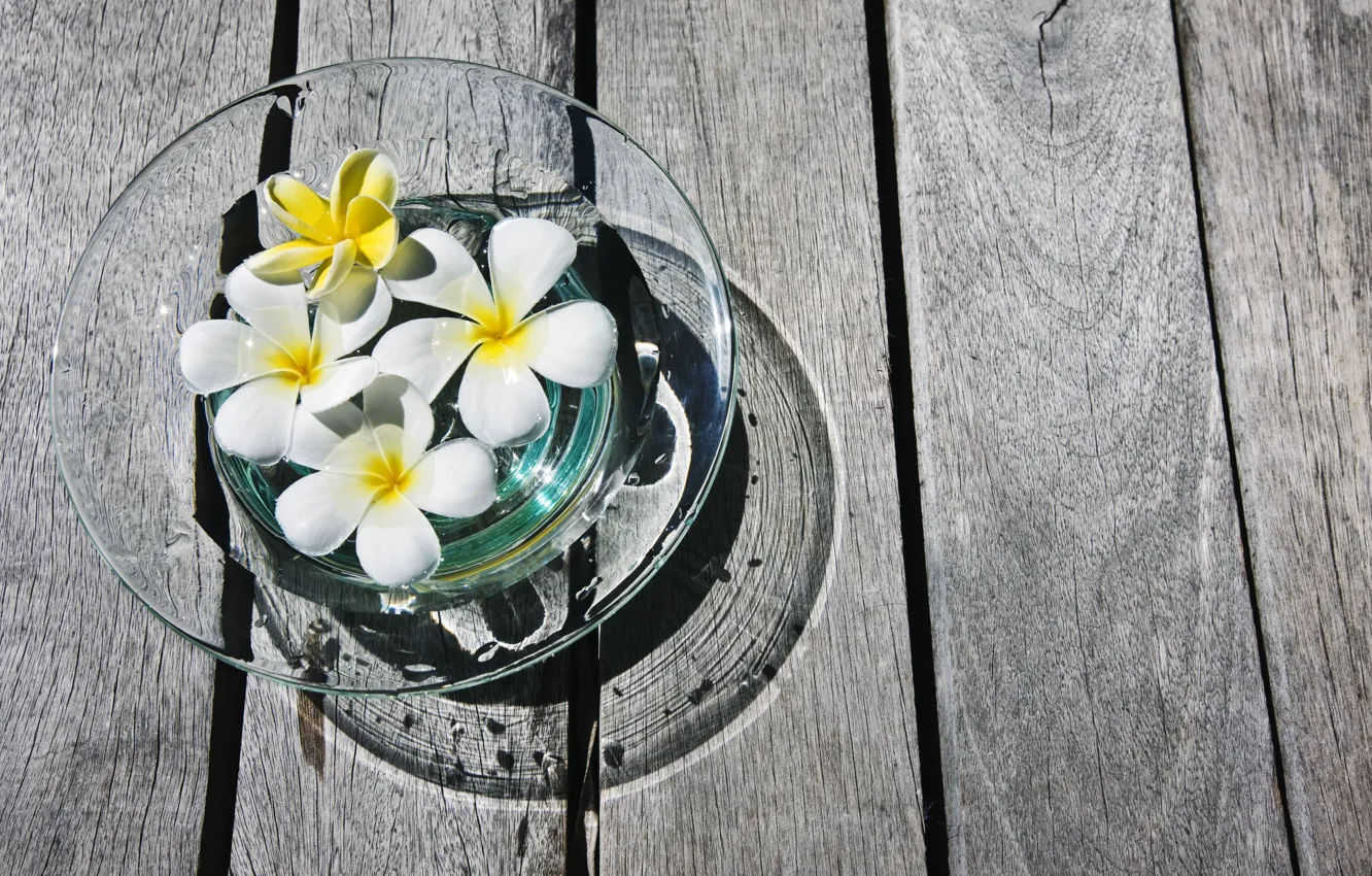 Photo wallpaper white, trees, flowers, yellow, background, Wallpaper, Board, flowers