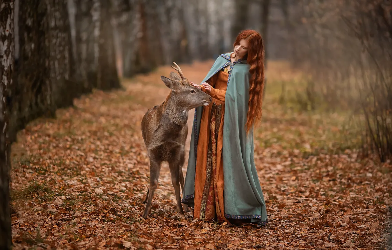 Photo wallpaper girl, dress, red, fawn, Anastasia Barmina, Alexander Cherkashin