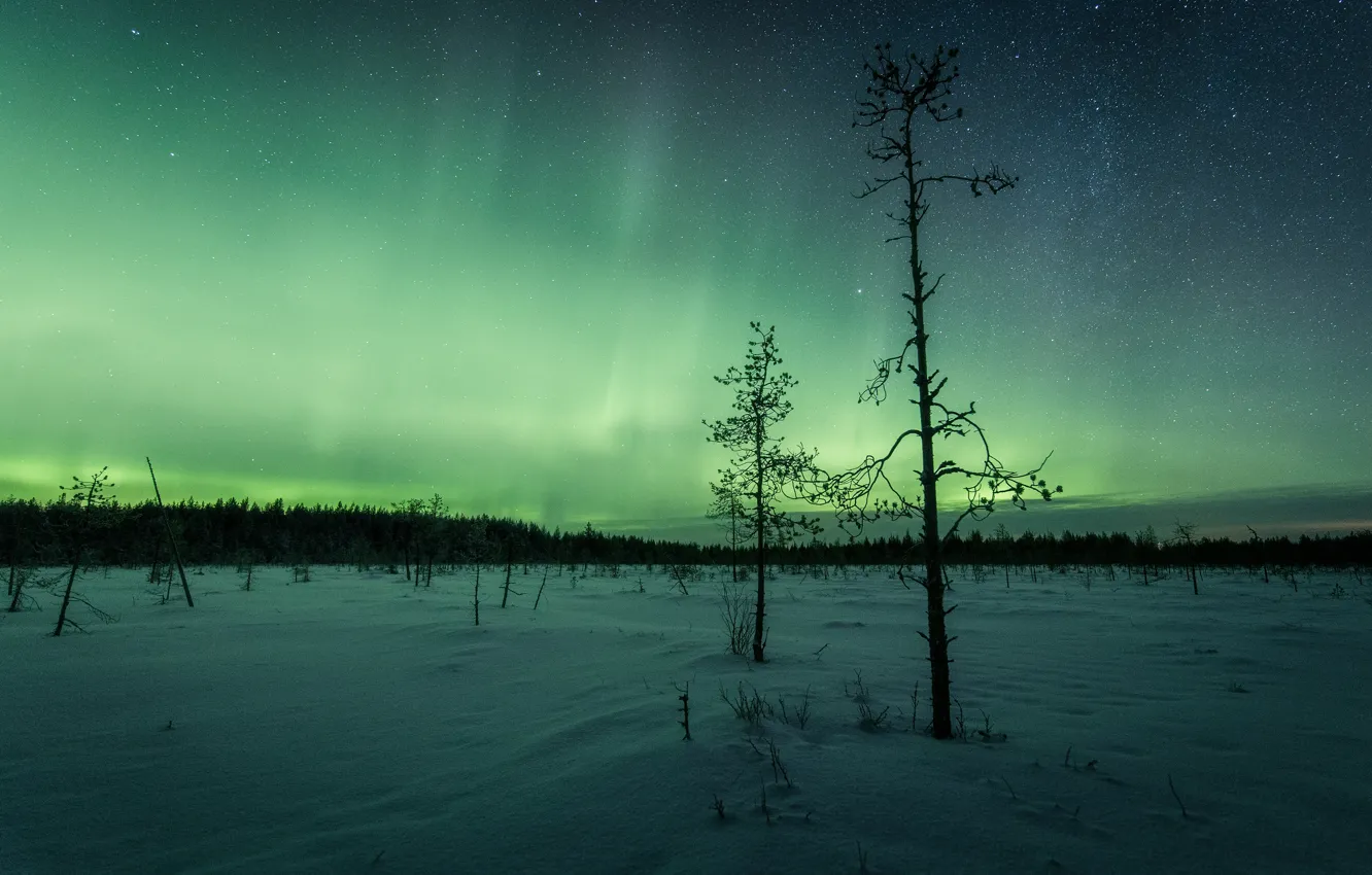 Photo wallpaper winter, forest, snow, trees, night, nature, two, Northern lights