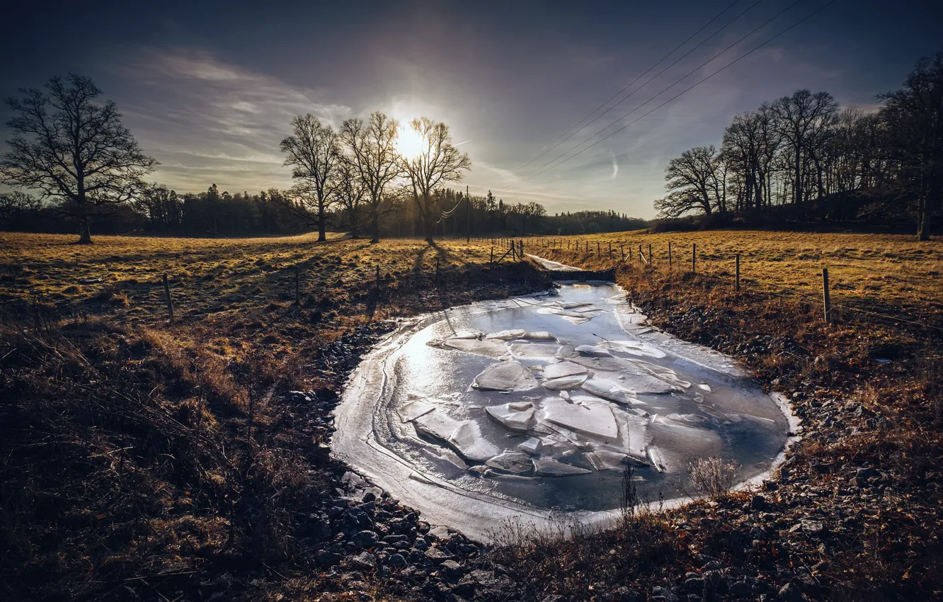 Photo wallpaper winter, pond, ice, morning