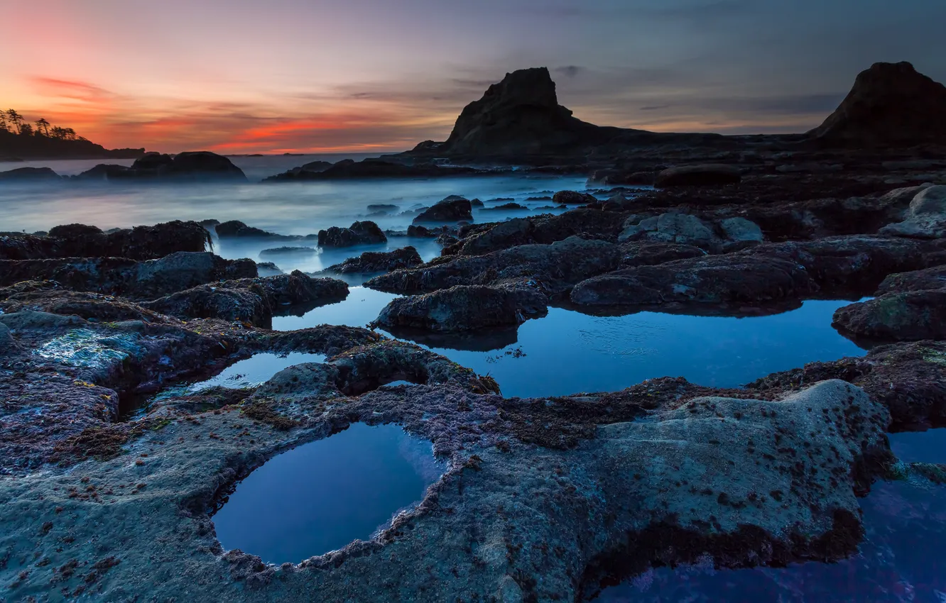 Photo wallpaper sea, sunset, rocks, shore