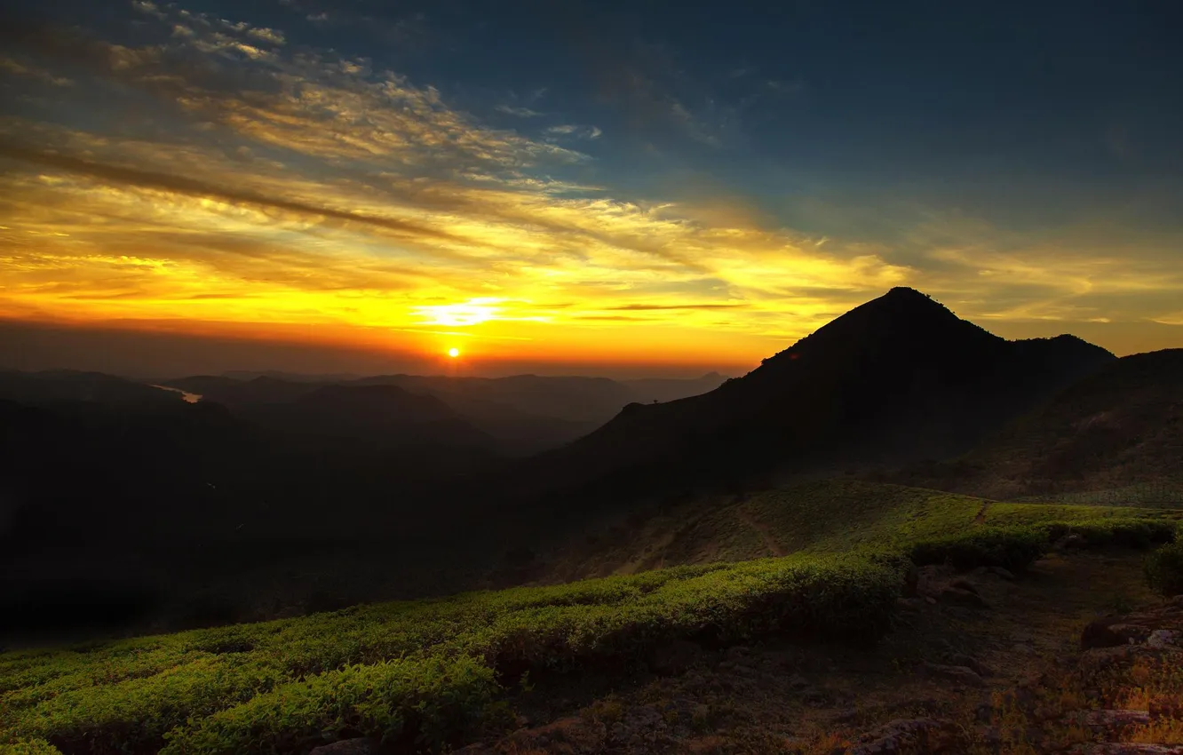 Photo wallpaper grass, landscape, sunset, nature, green, the sky. mountains