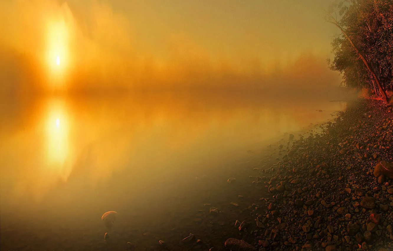 Photo wallpaper light, trees, fog, lake, stones, shore