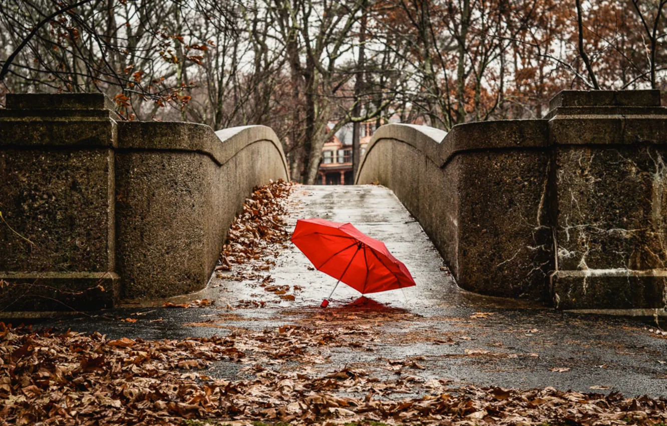 Photo wallpaper autumn, red, bridge, the city, umbrella