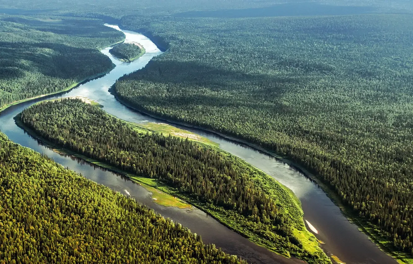 Photo wallpaper forest, trees, landscape, nature, river, the view from the top, relief