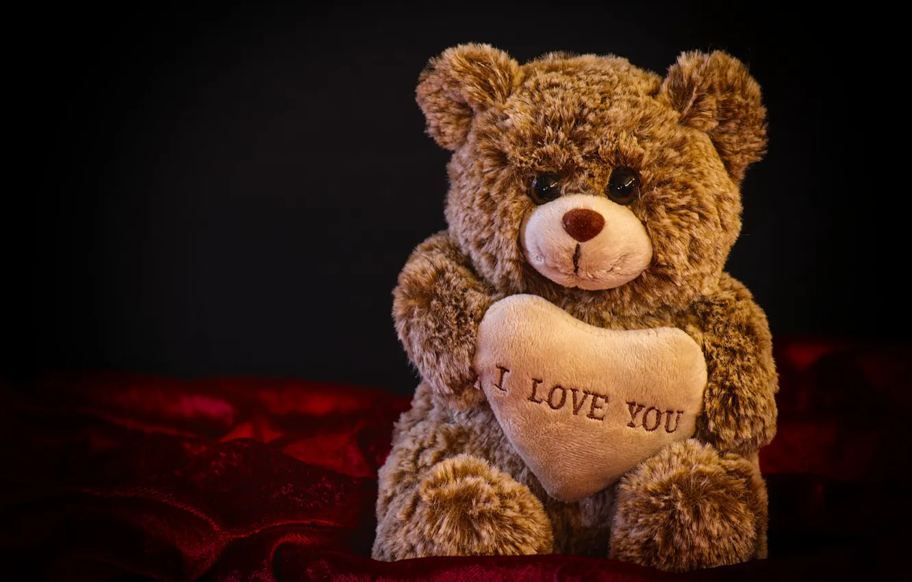 Photo wallpaper toy, heart, bear, Valentine's Day