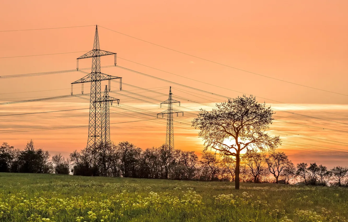 Photo wallpaper field, sunset, power lines