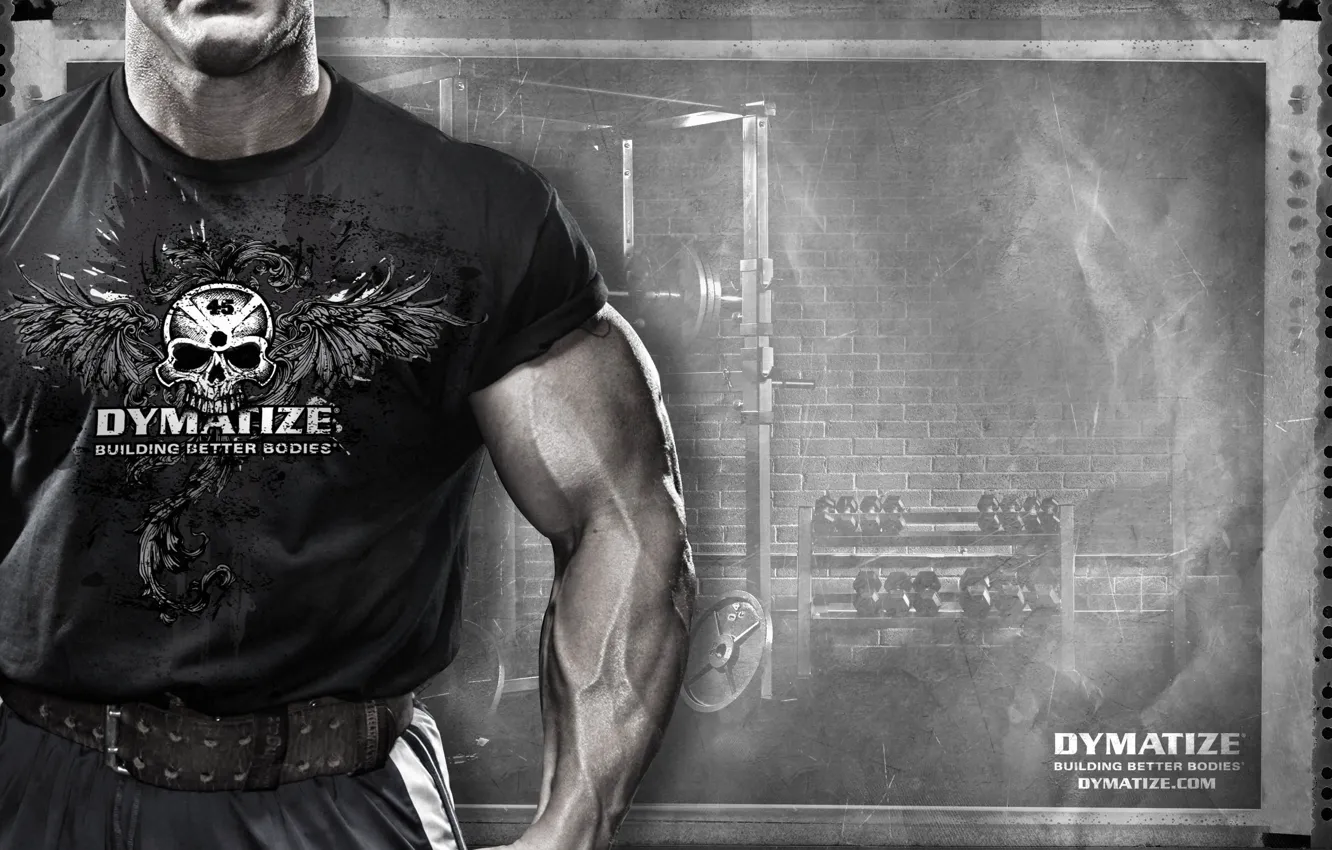 Photo wallpaper sport, muscle, sportpit, Andy Haman, Dymatize