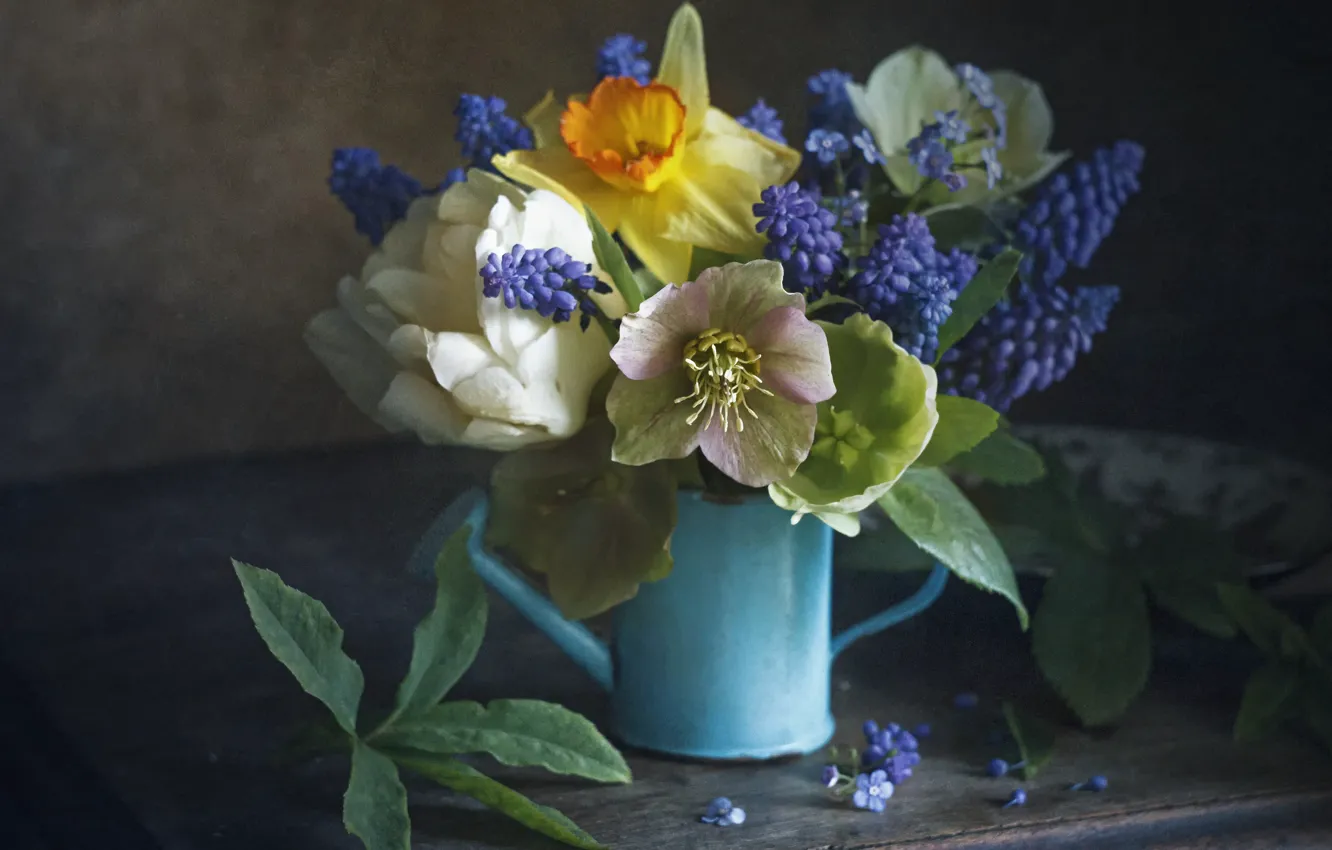 Photo wallpaper flowers, bouquet, Board, Muscari, Narcissus, hellebore, the watering pot, Lionella Zimina