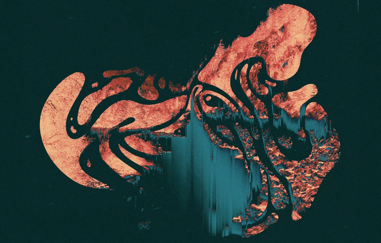 Photo wallpaper Music, Cover, Monstercat, Wildfire, Rootkit