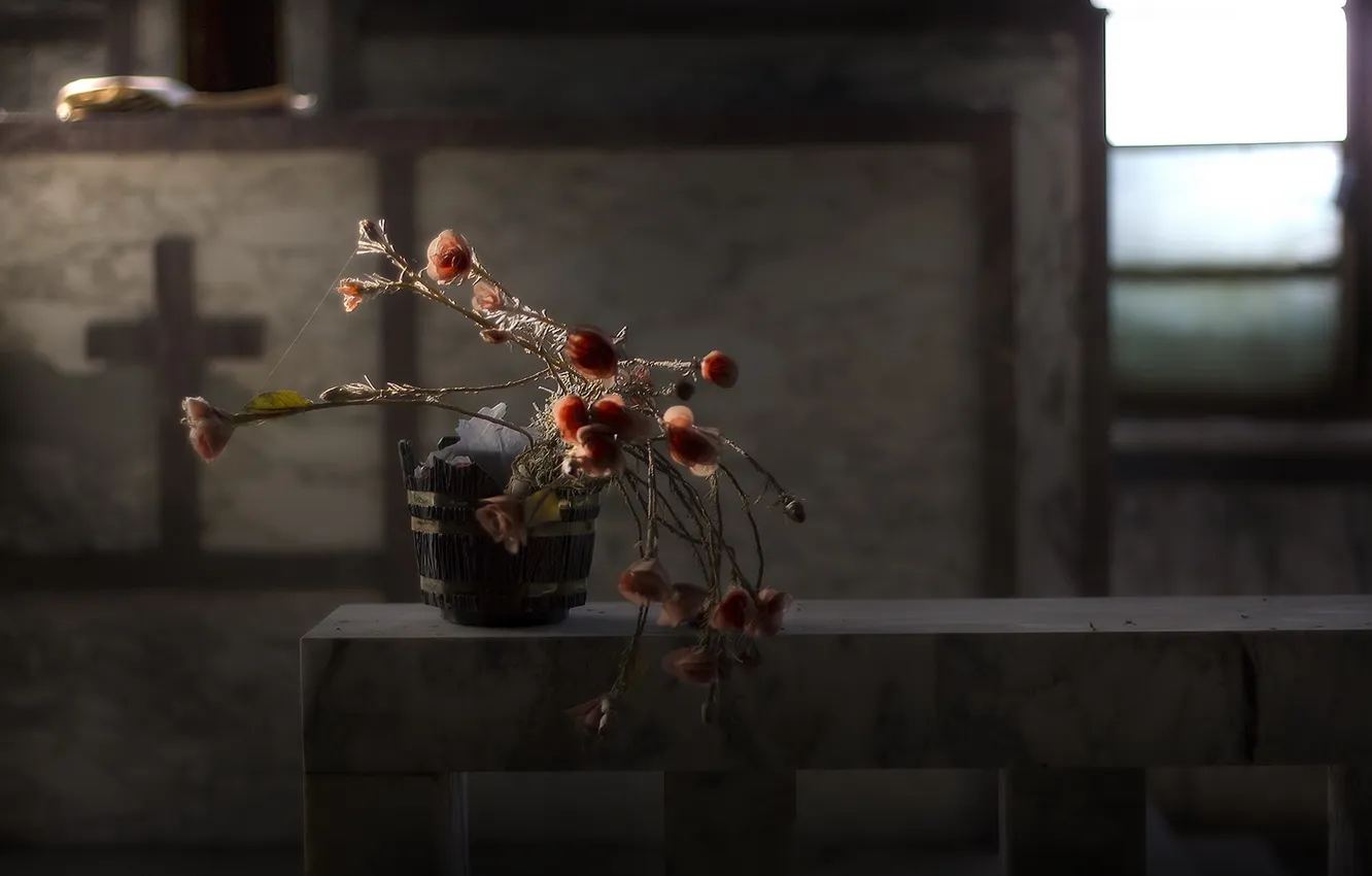 Photo wallpaper flowers, table, background