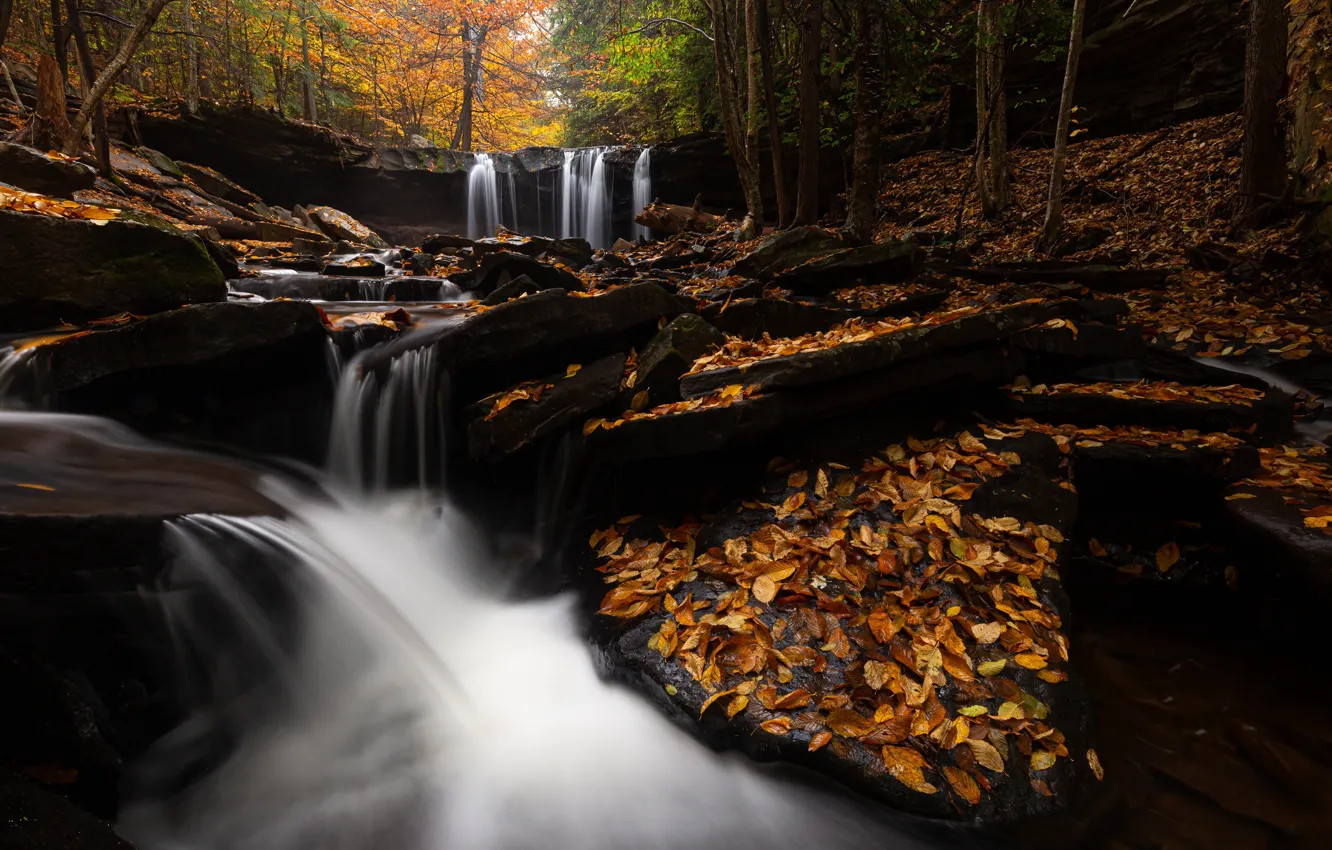 Photo wallpaper autumn, forest, stones, rocks, shore, for, foliage, waterfall