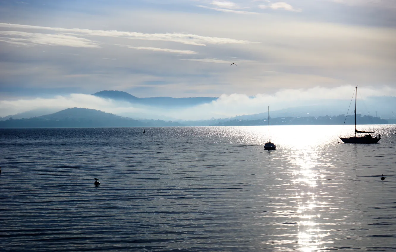 Photo wallpaper fog, shore, yachts, morning. sea