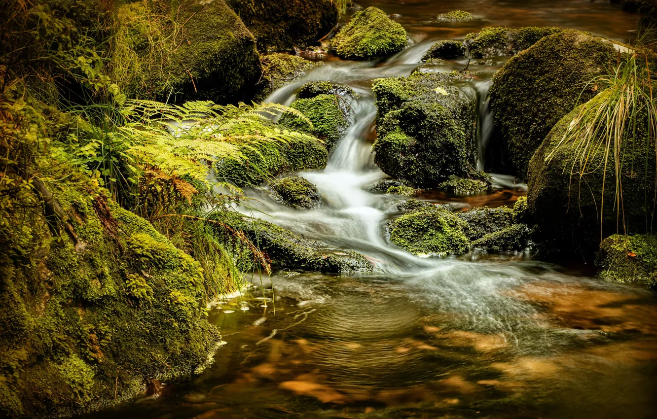 Photo wallpaper grass, stones, photo, waterfall, moss