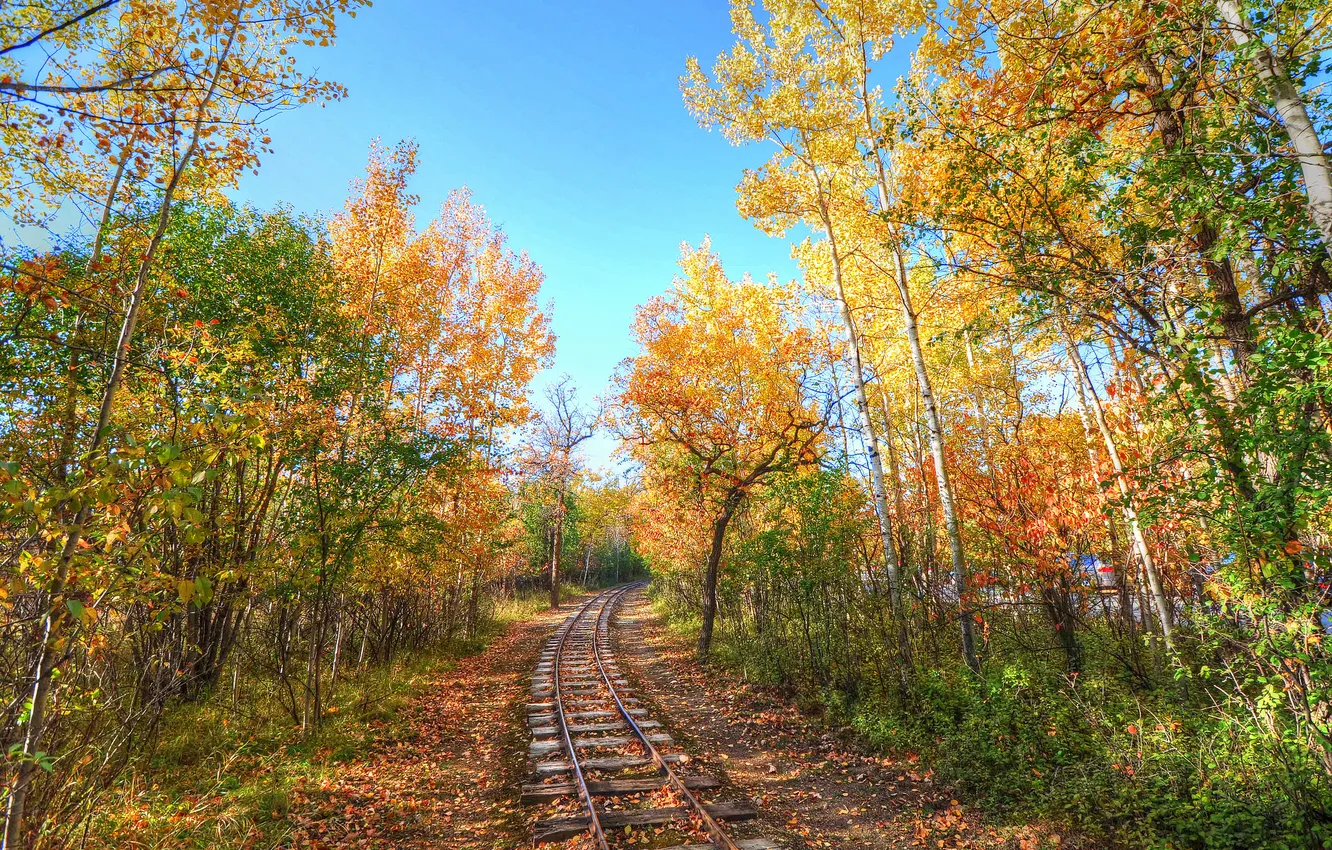 Photo wallpaper road, autumn, forest, the sky, rails