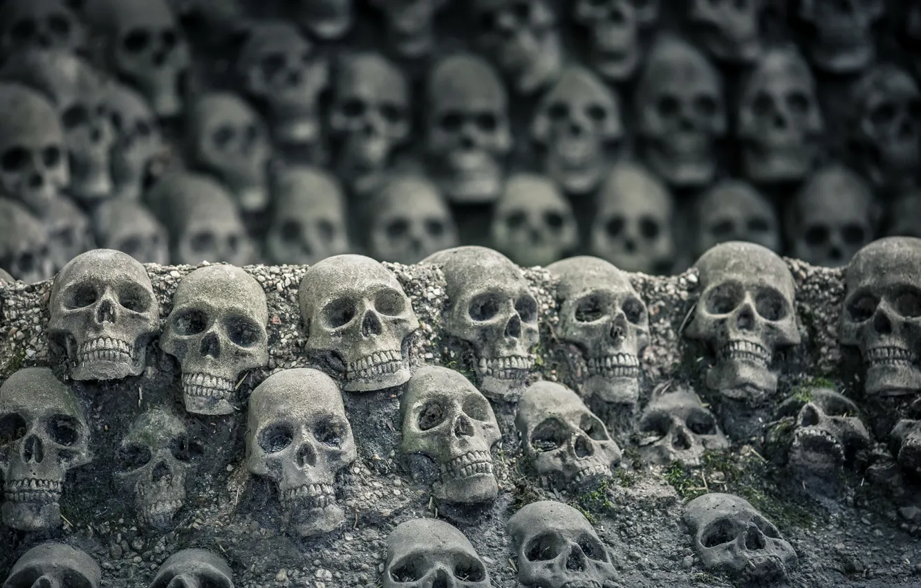 Photo wallpaper background, the darkness, skull
