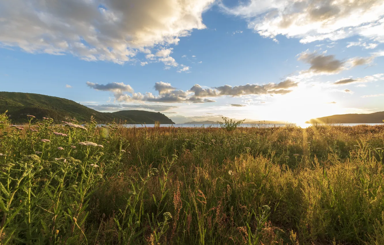 Photo wallpaper the sun, landscape, nature, meadow, Fleur Walton