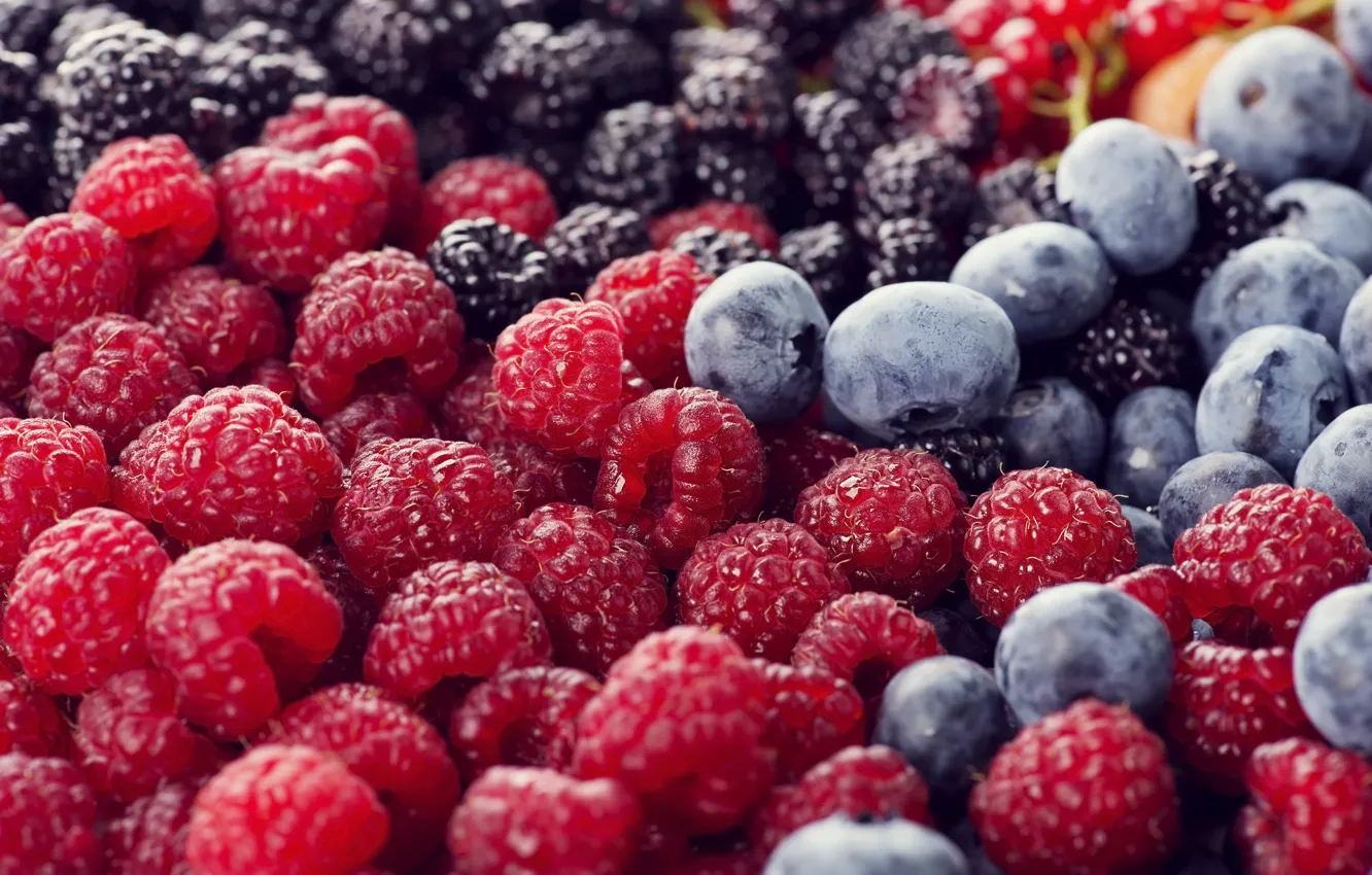 Photo wallpaper Berries, BlackBerry, Food, Raspberry, Blueberries