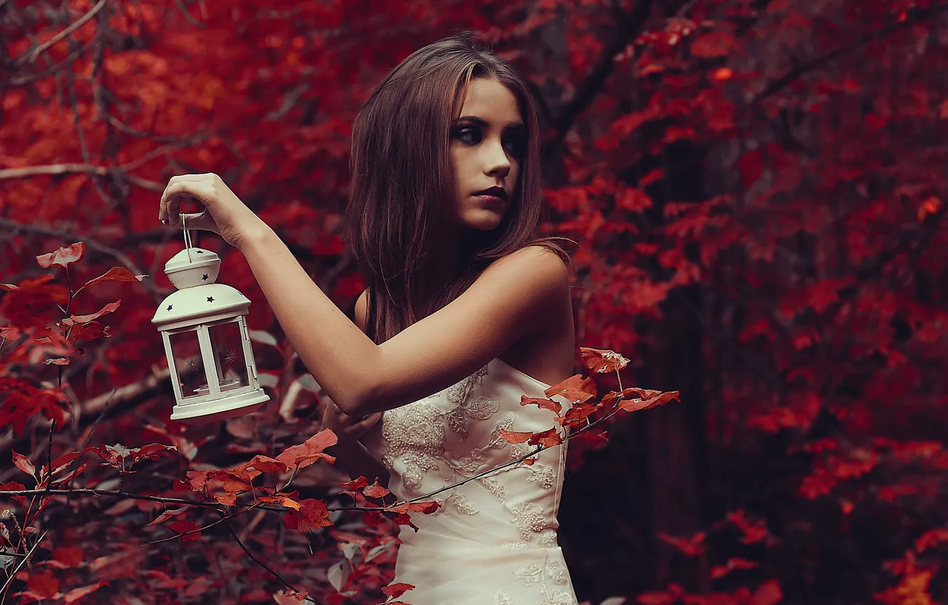 Photo wallpaper Girl, Look, Forest, Leaves, Model, Lantern, Red, Beautiful