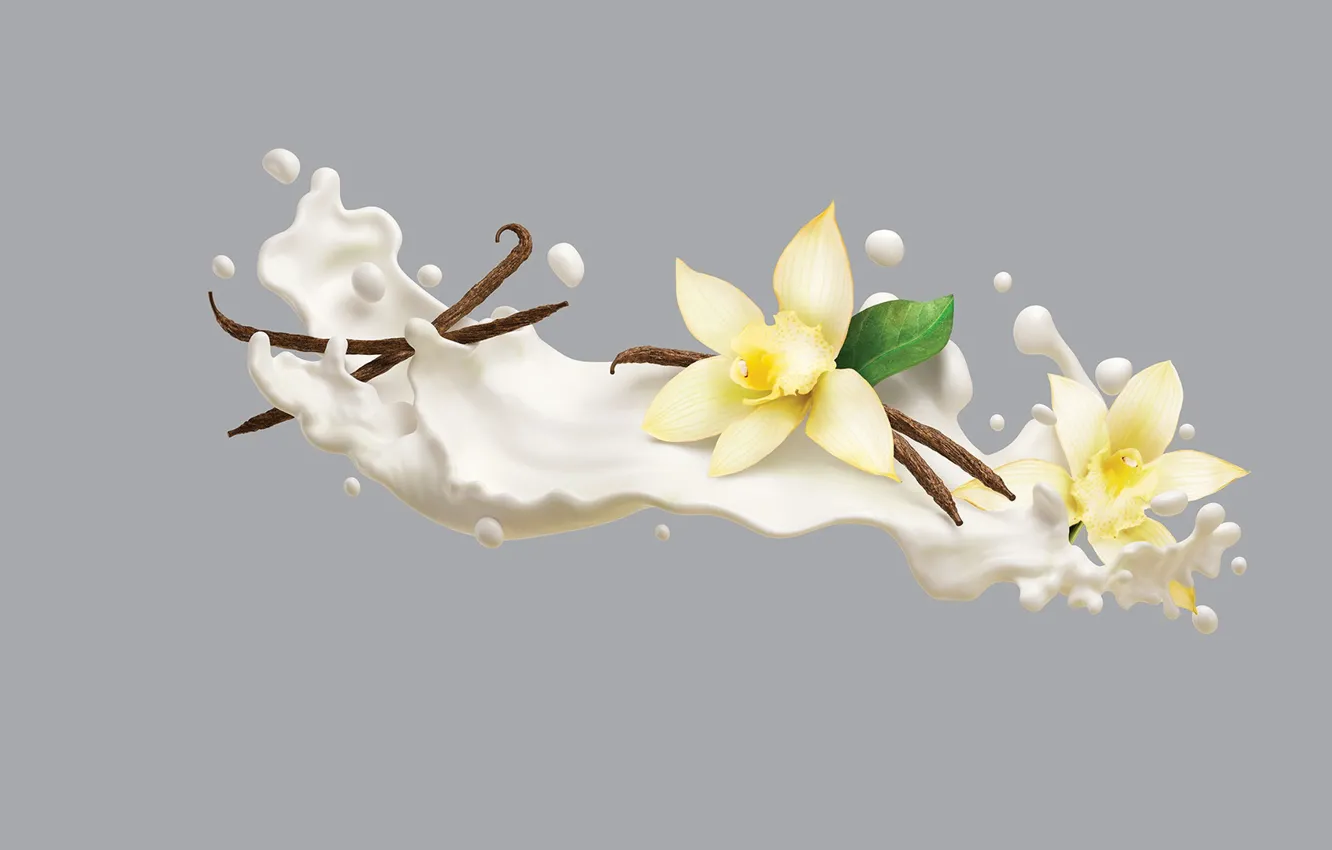 Photo wallpaper minimalism, cream, art, vanilla, AJ Jefferies, Philadelphia VIVA Protein Smoothies