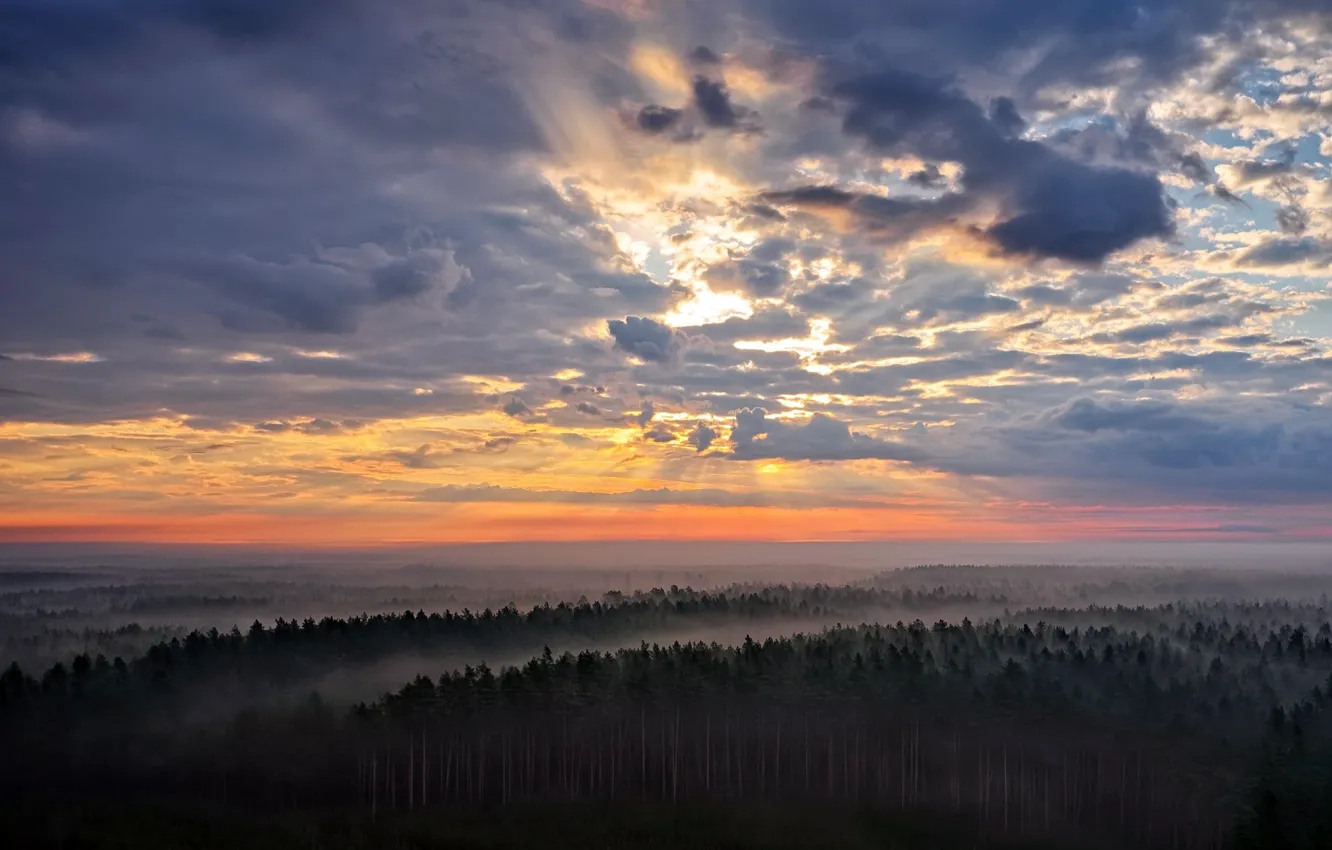 Photo wallpaper Lithuania, sunset, nature