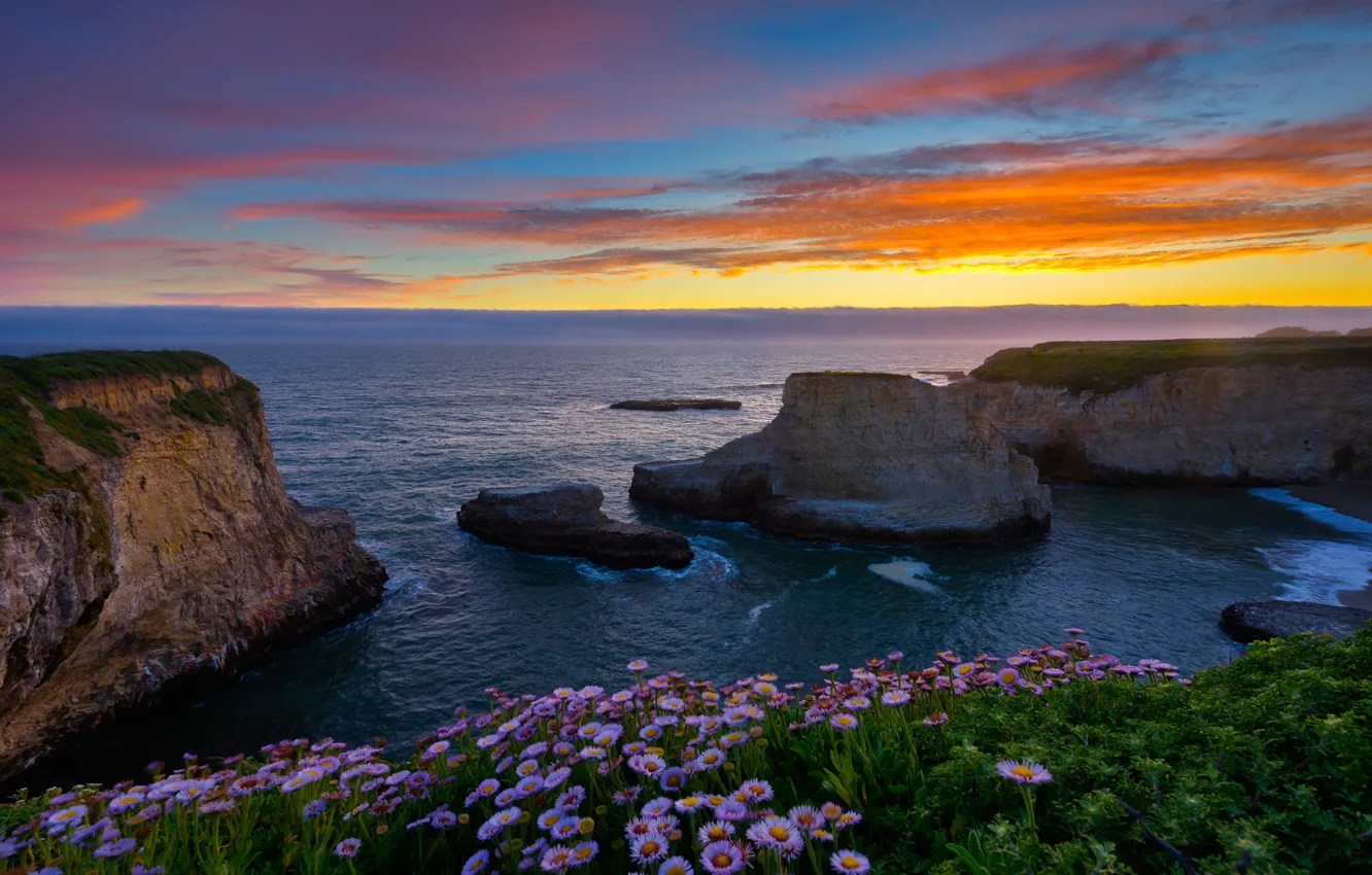 Photo wallpaper sunset, flowers, the ocean, rocks, coast, CA, Pacific Ocean, California