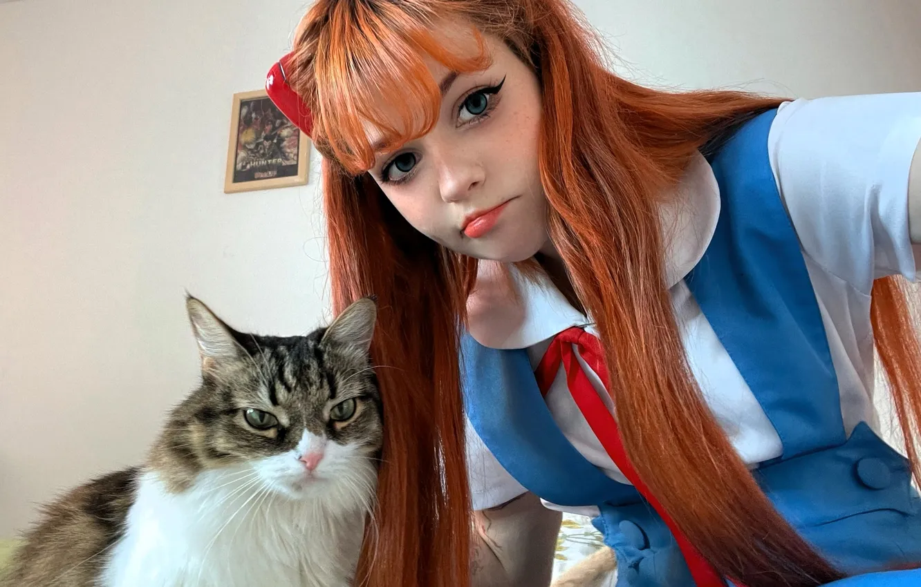 Photo wallpaper cat, costume, outfit, image, cosplay, Tenletters