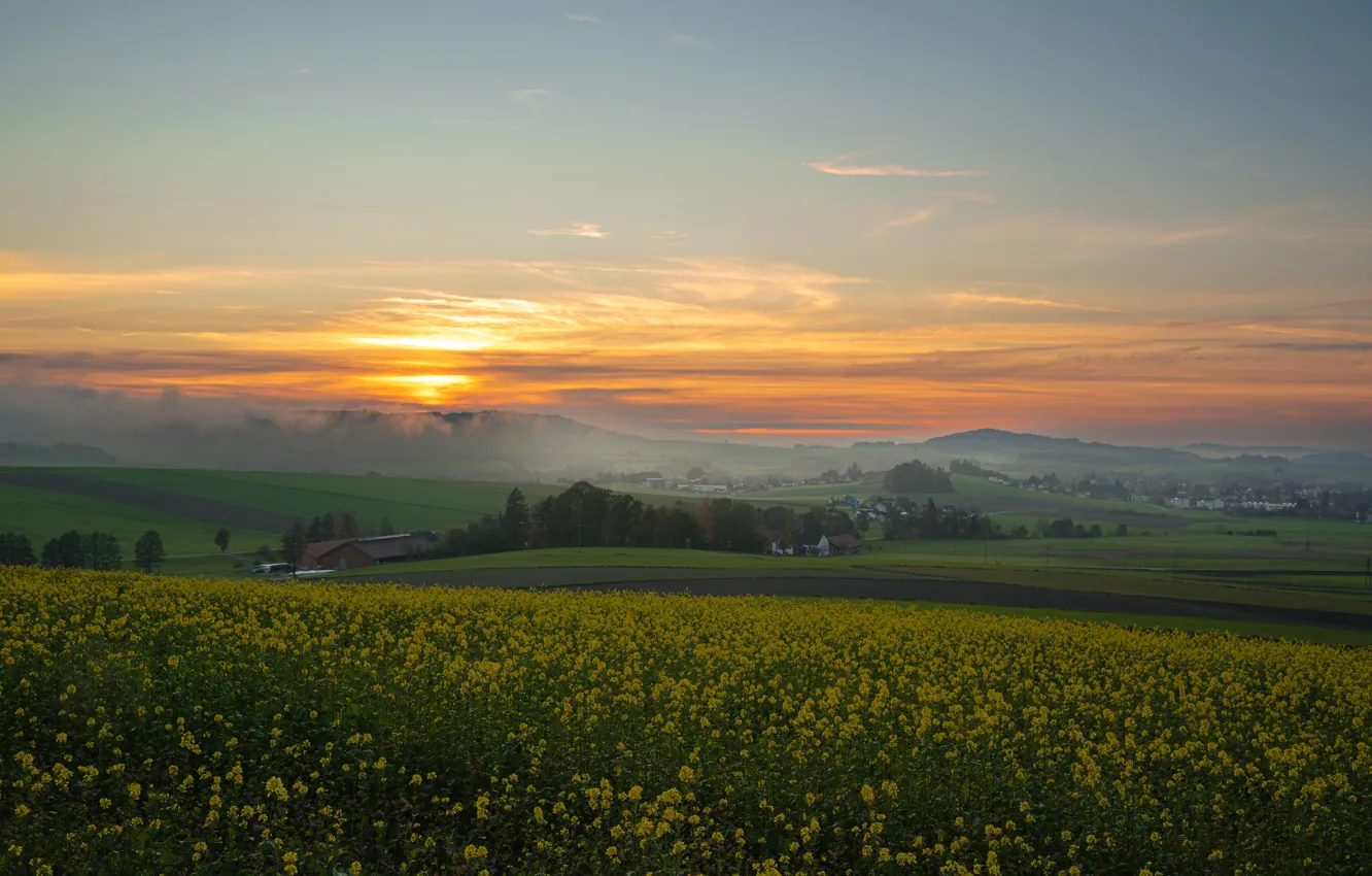 Photo wallpaper field, fog, dawn, hills, spring, dal, morning, village