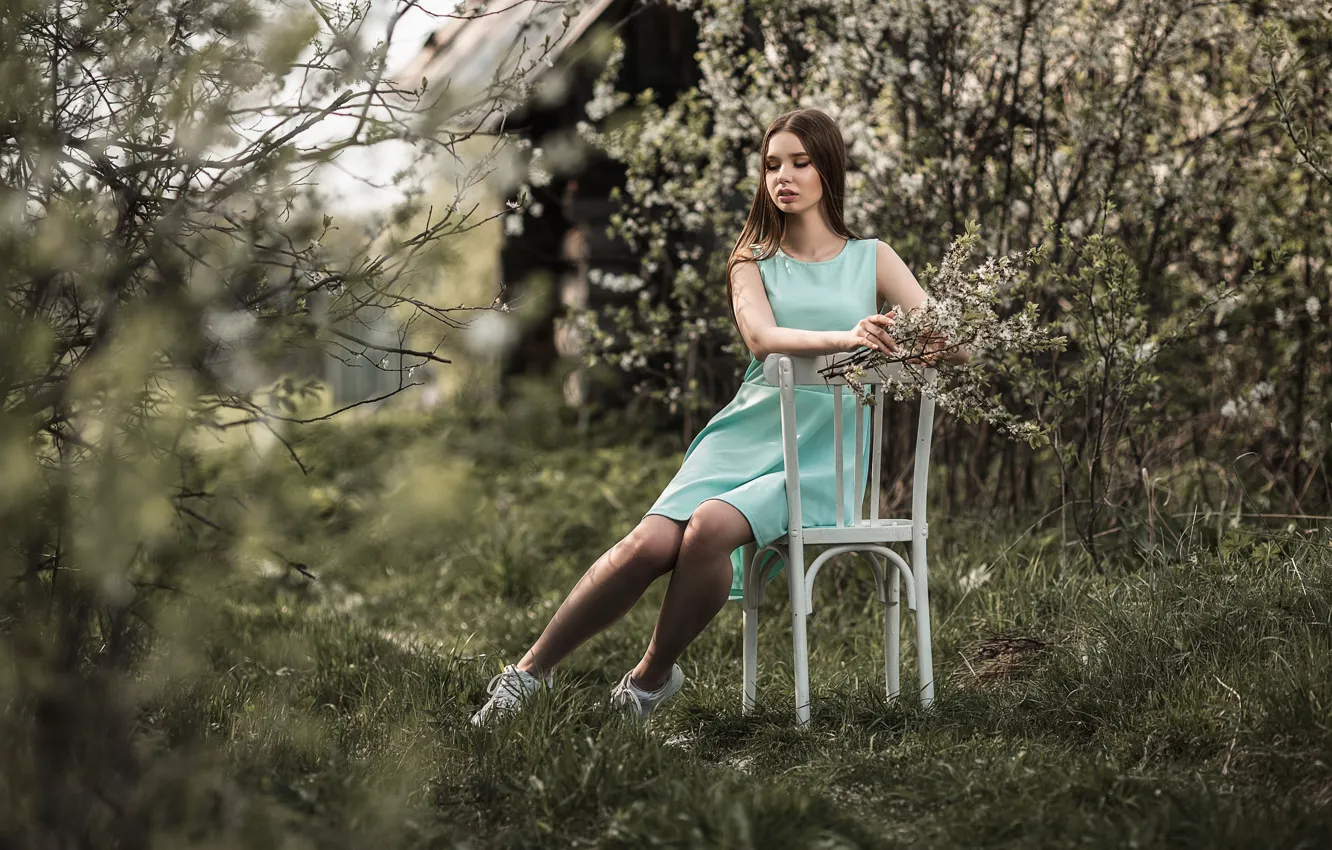 Photo wallpaper girl, branches, nature, spring, dress, chair, brown hair, flowering