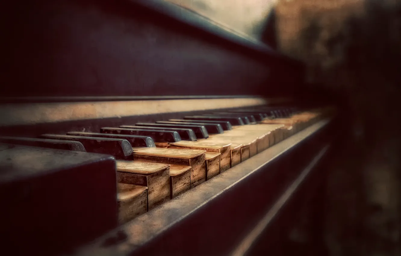 Photo wallpaper keys, piano, bokeh, Aged to Perfection