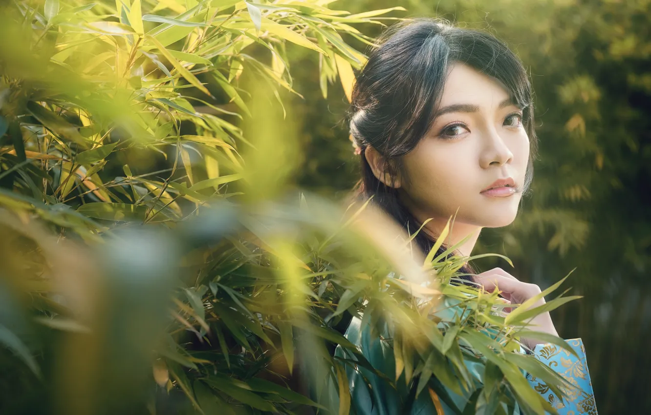Photo wallpaper look, branches, portrait, Asian