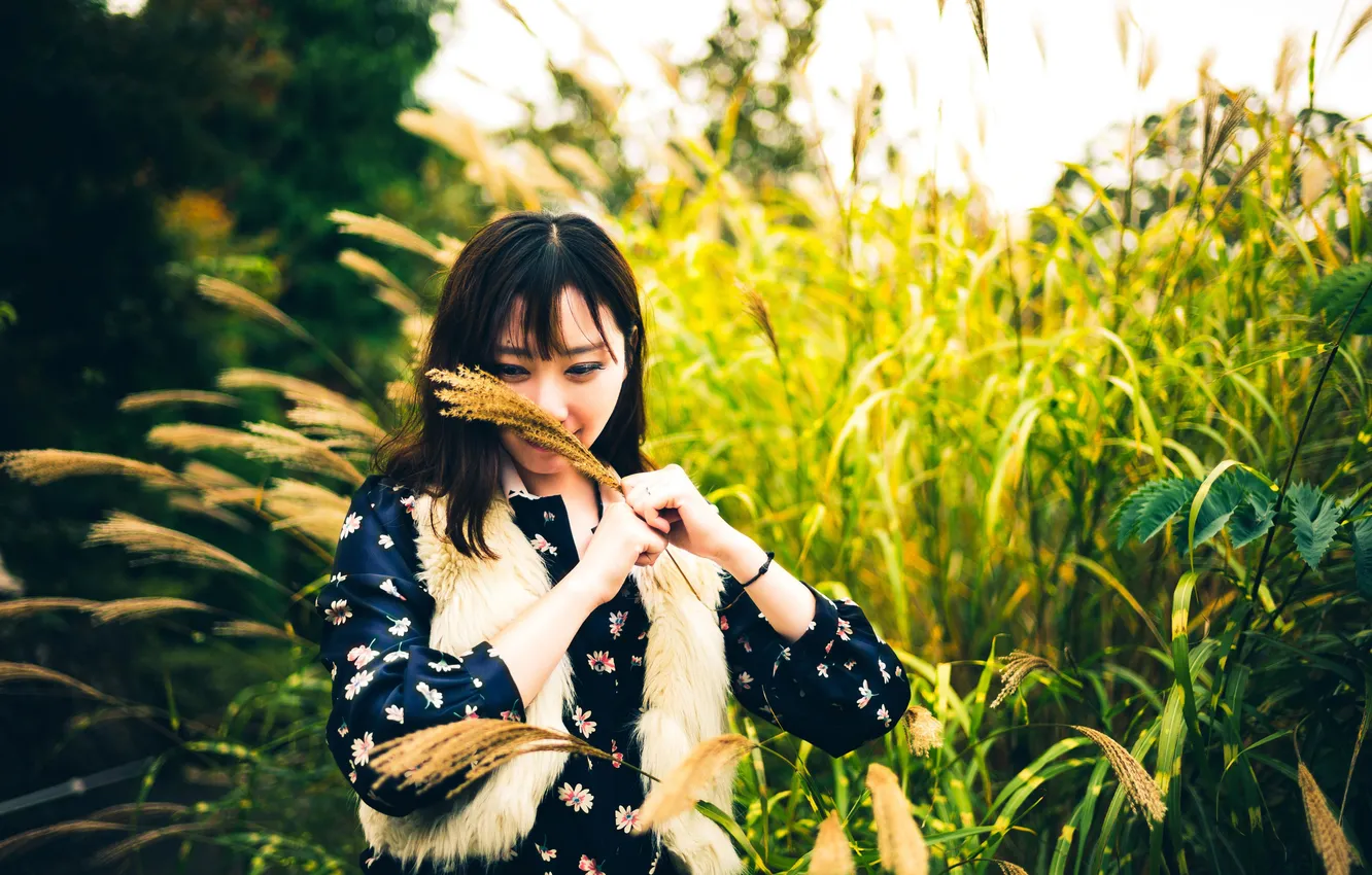 Photo wallpaper eyes, girl, smile, hair, the bushes