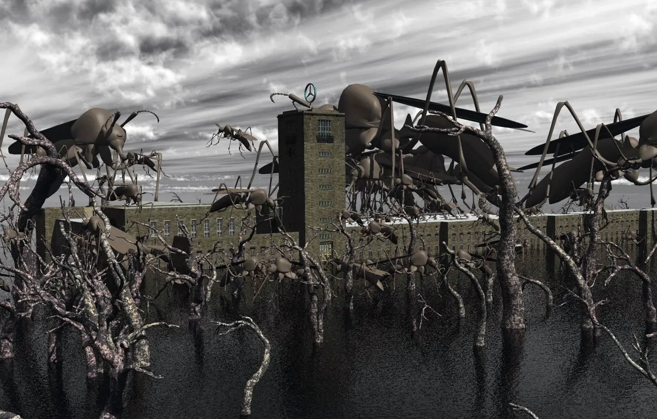 Photo wallpaper background, color, form