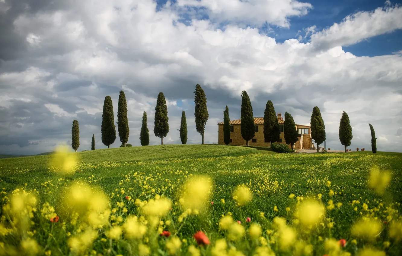 Photo wallpaper clouds, trees, landscape, flowers, nature, spring, Italy, meadows