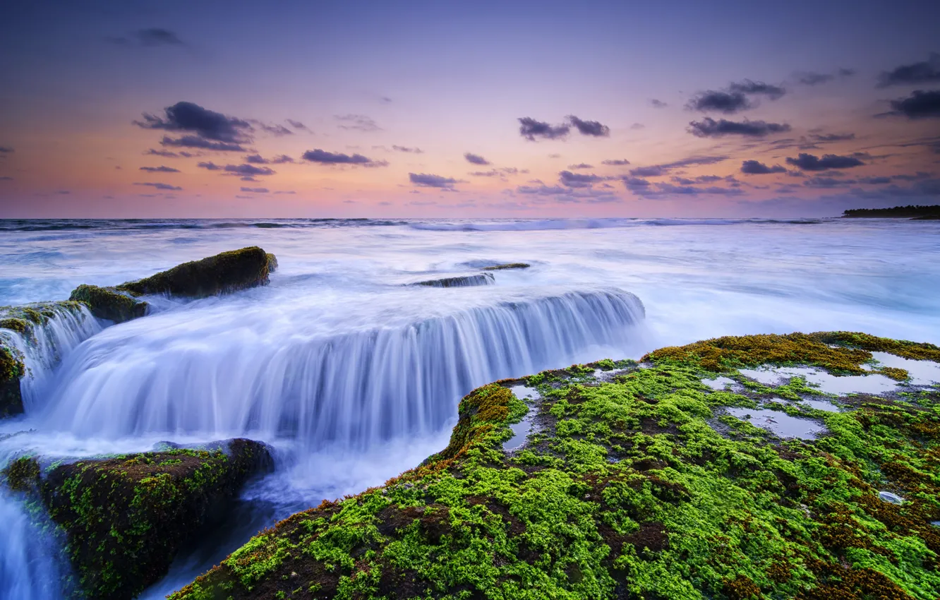 Photo wallpaper algae, stones, the ocean, dawn, Bali, Indonesia, Canggu, Lima Beach