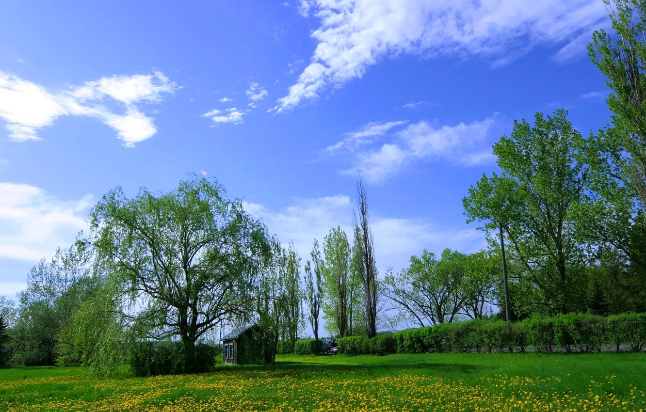 Photo wallpaper the sky, grass, clouds, trees, flowers, meadow, house, dandelions