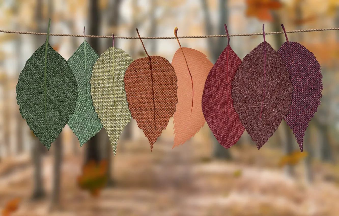 Photo wallpaper autumn, leaves, Park, rope, fabric, bokeh, autumn leaves, from fabric