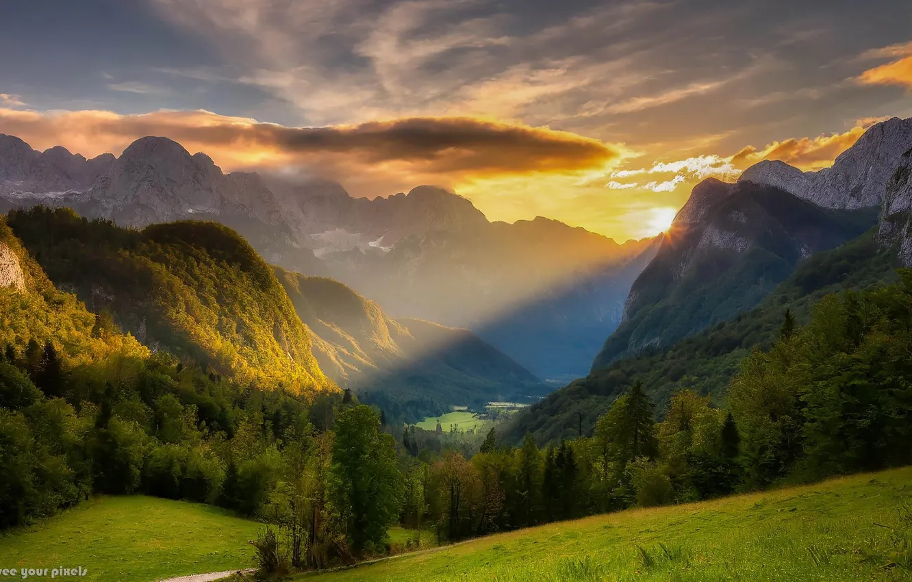 Photo wallpaper forest, mountains, nature, dawn, hills, meadow
