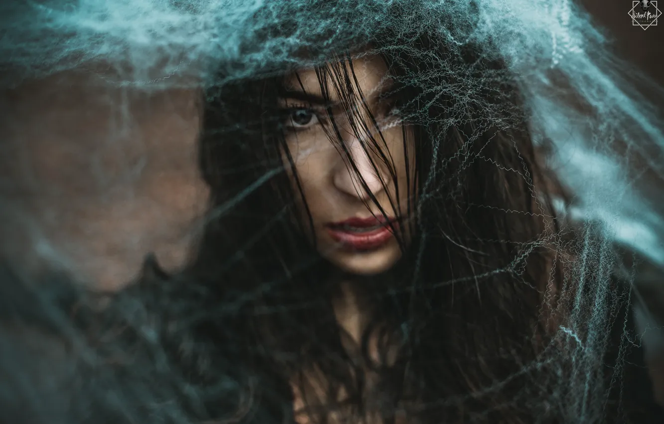 Photo wallpaper girl, web, Silent Purr