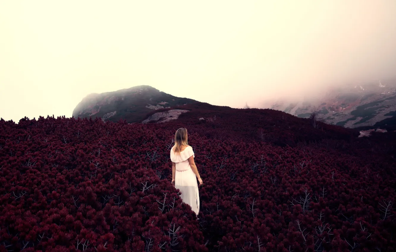 Photo wallpaper girl, autumn, Poland, Zakopane