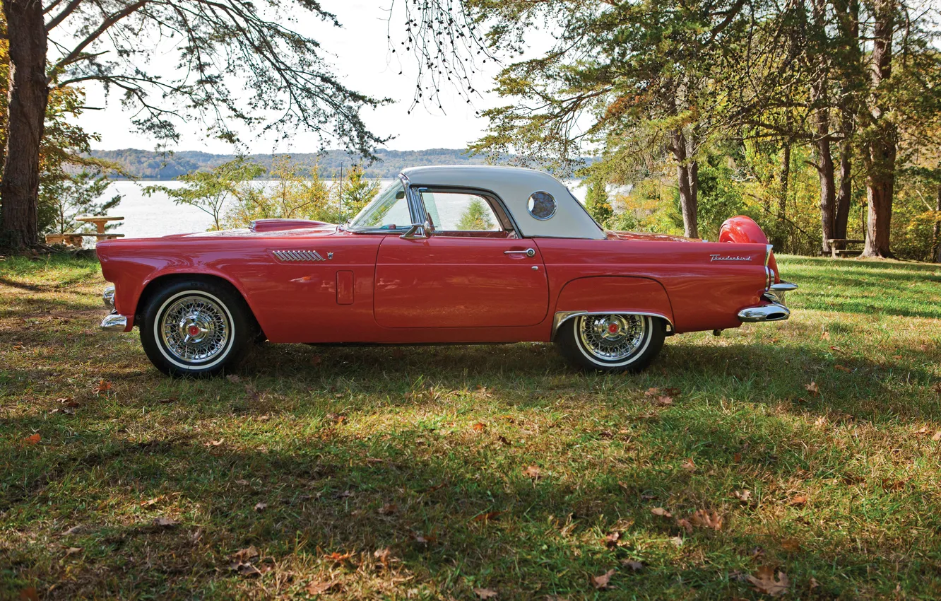 Photo wallpaper Ford, Ford, 1965, retro cars, Thunderbird, Retro Cars, Ford Thunderbird Convertible