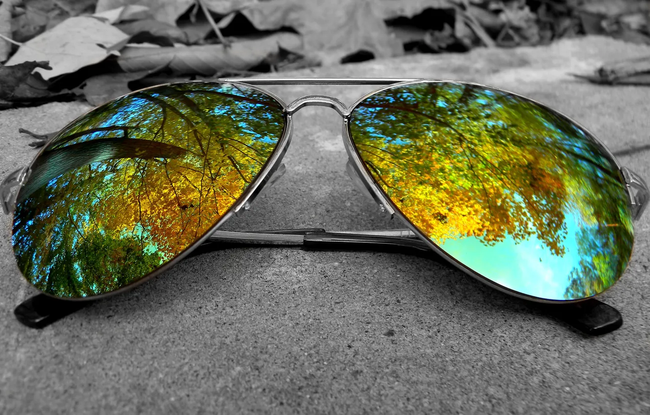 Photo wallpaper trees, reflection, glasses