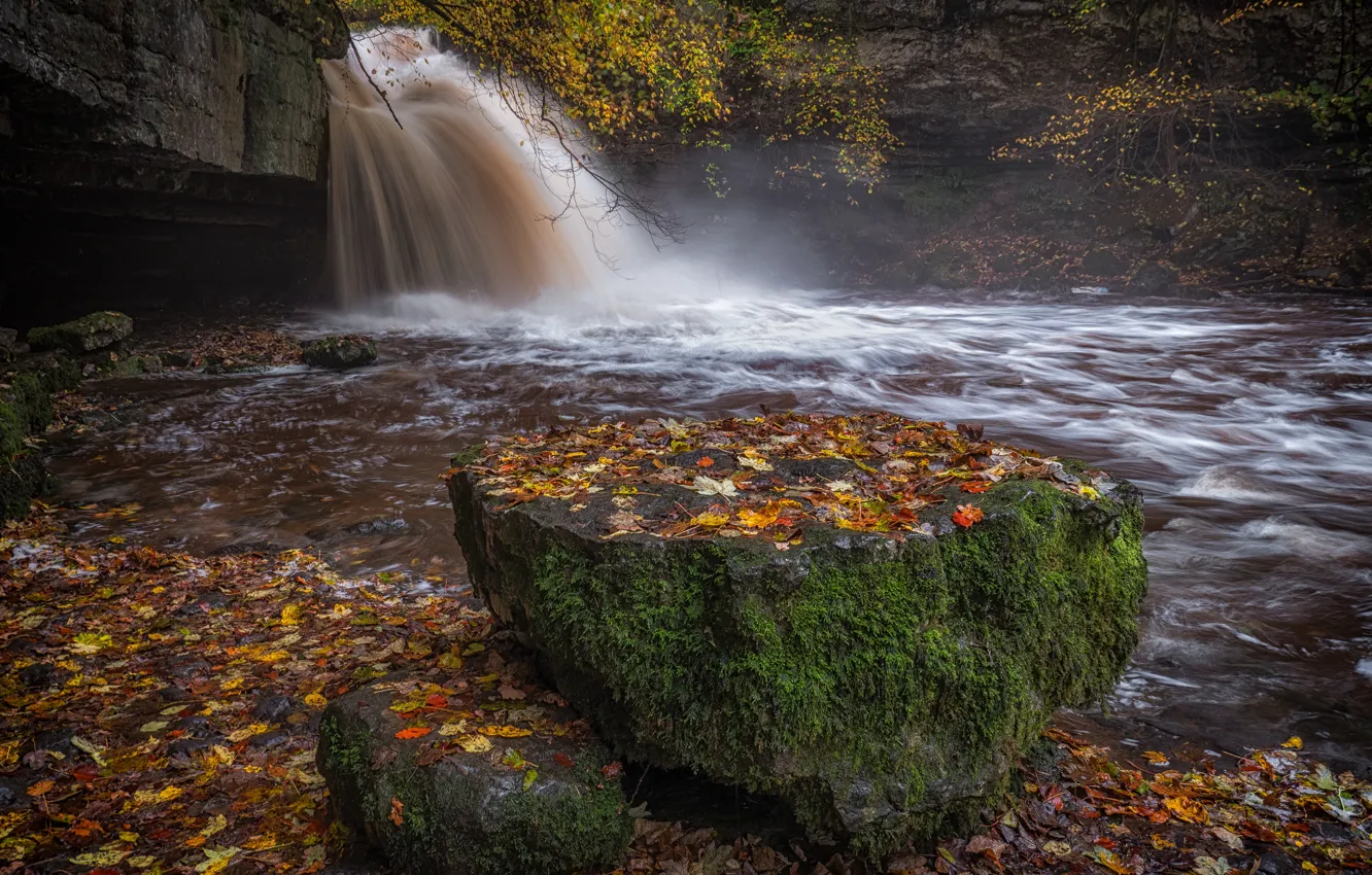 Photo wallpaper autumn, branches, stones, rocks, shore, foliage, waterfall, stream