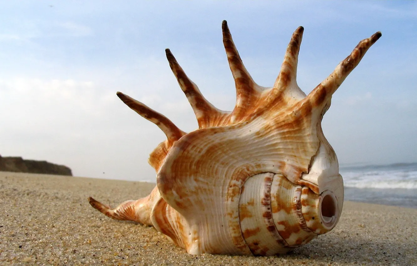 Photo wallpaper sand, beach, Sink, huge